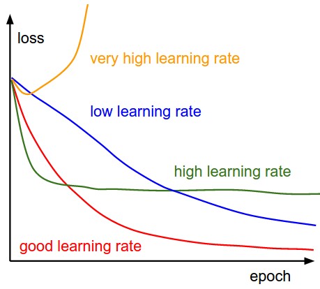 loss curves for four different learning rates