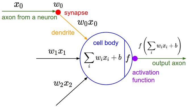 mathematical model of an artificial neuron with weights sum and activation