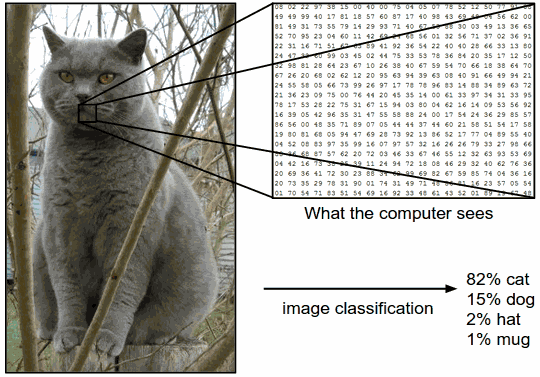 raw pixel array of a cat image turned into class probabilities