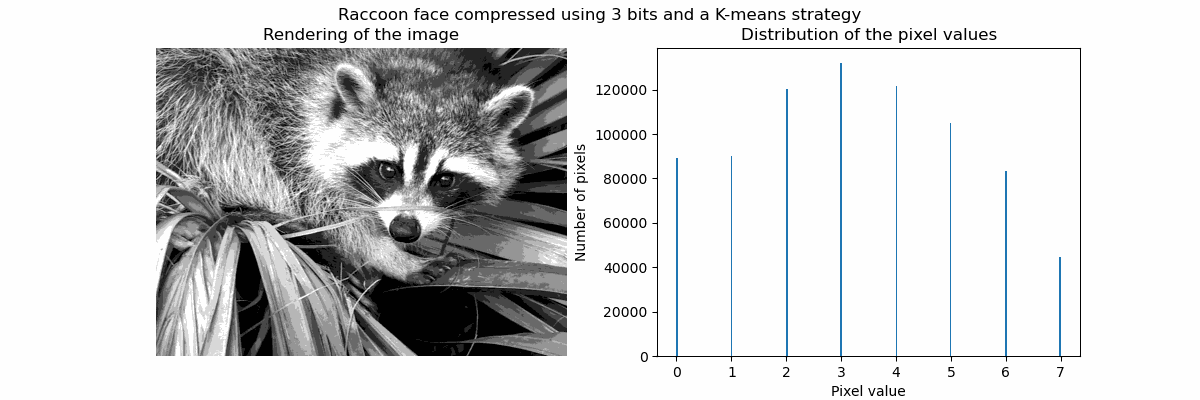 raccoon photo quantised to eight grey levels by kmeans