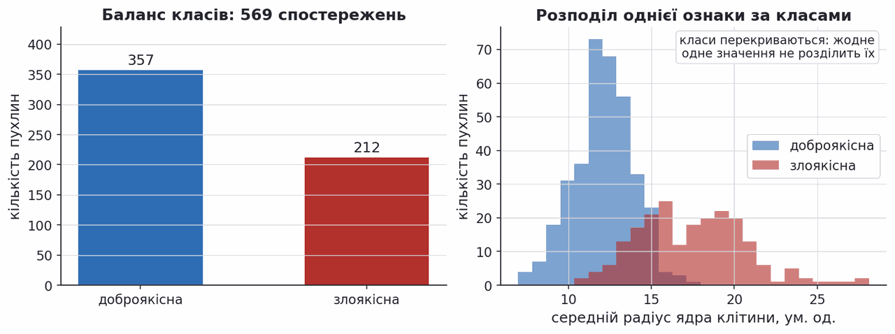 breast cancer class balance and feature distribution