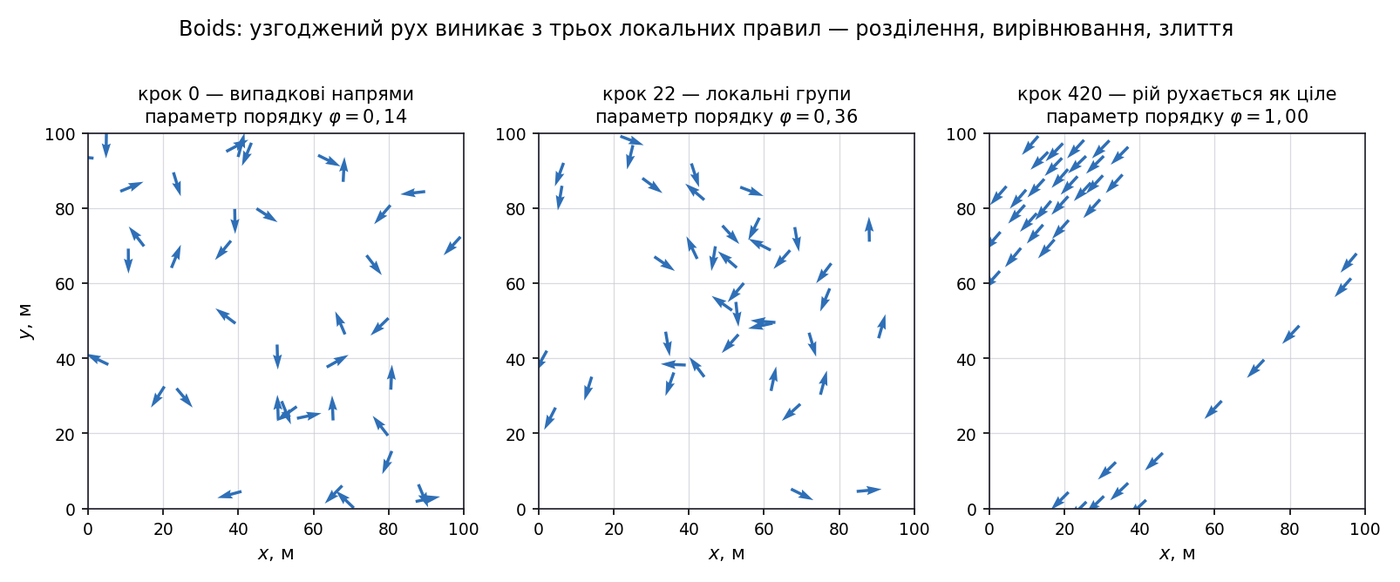Модель Boids: колективний рух виникає з трьох локальних правил